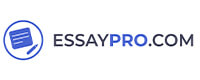 write an essay efficiently and quickly