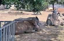 pafos zoo