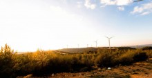 windmill farm oreites