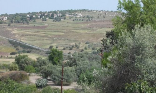 Arnies Nature Trail 