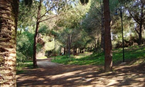 Pedagogical Academy Natural Forest Park