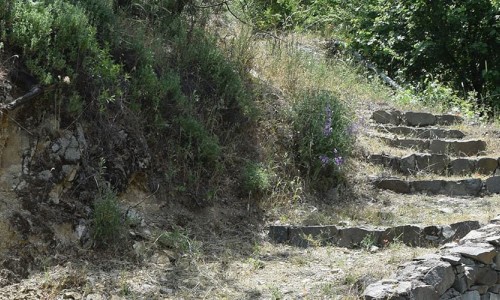 Pano Ambelia Nature Trail