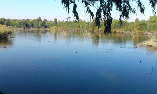 Athalassa Lake 