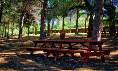 Athalassa Picnic Site