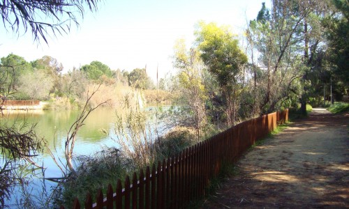 Athalassa Picnic Site of Southwest Entrance - Agios Georgios Nature Trail