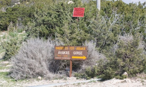 Faraggi tou Avaka ( Avakas Gorge) Nature Trail