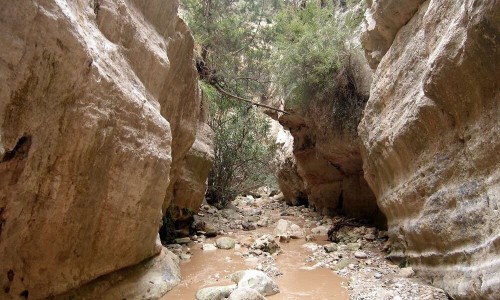 Avakas Gorge