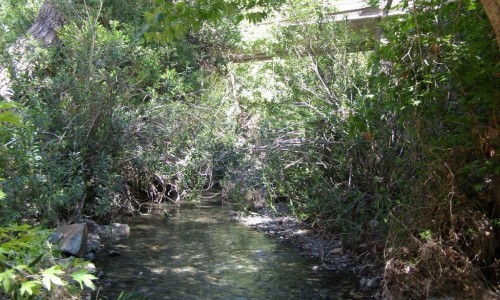 Ezousa River 