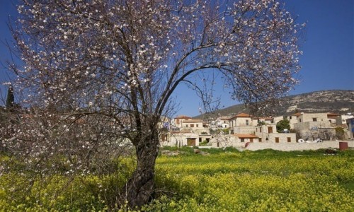 Lefkara - Kato Dry Nature Trail 