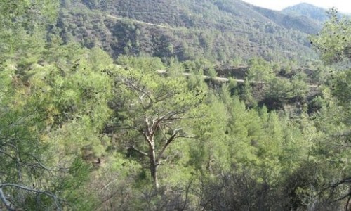 Lefkara- Church of Metamorphoseos tou Sotiros Nature Trail