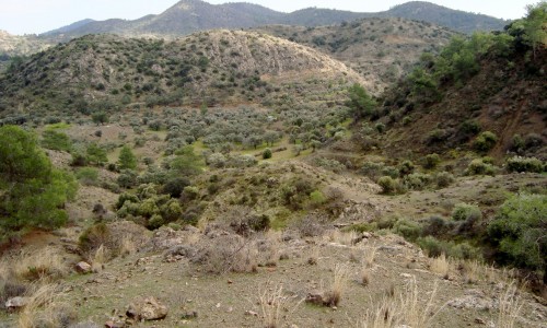 Lefkothea (Aetomoutti) Nature Trail