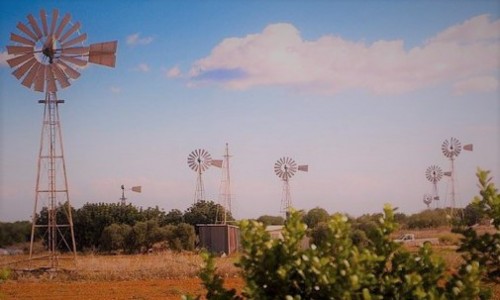 Paralimni Windmills