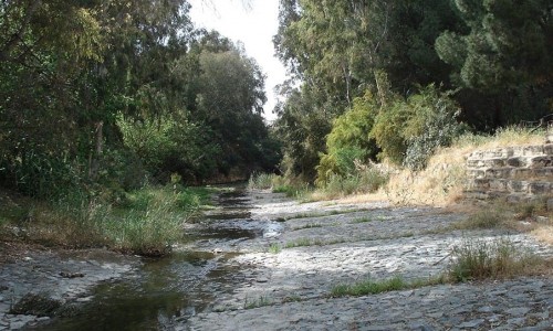 Pedieos River