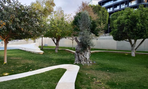 Eleftheria Square – Nicosia 