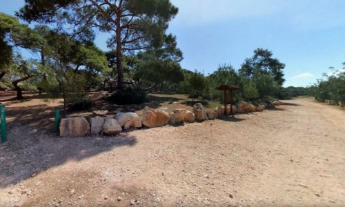 Pykni Picnic Site