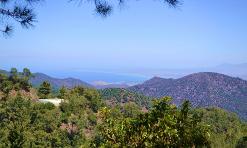 Troodos Camping Site 