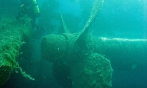 Zenobia wreck diving site 