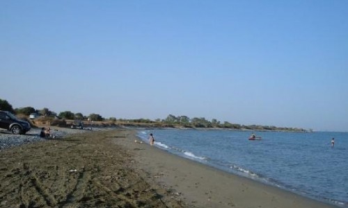 Mazotos Beach