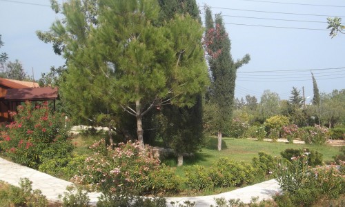 Pano Polemidia, Limassol 