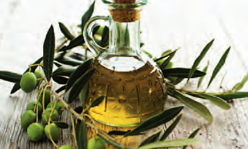 Cyprus Virgin Olive Oil 