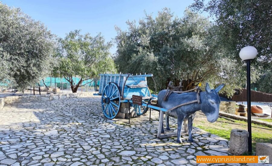 Golden Donkeys Farm - Skarinou