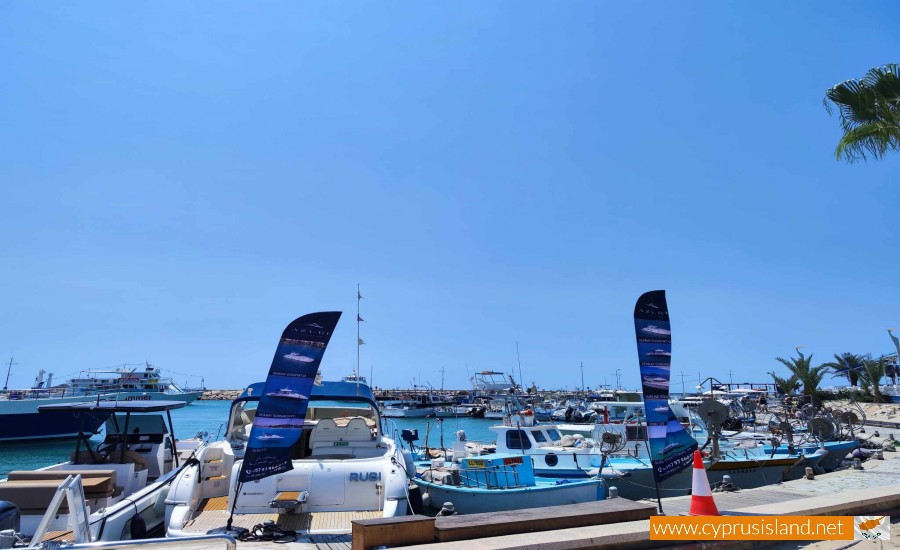 Agia Napa Harbour