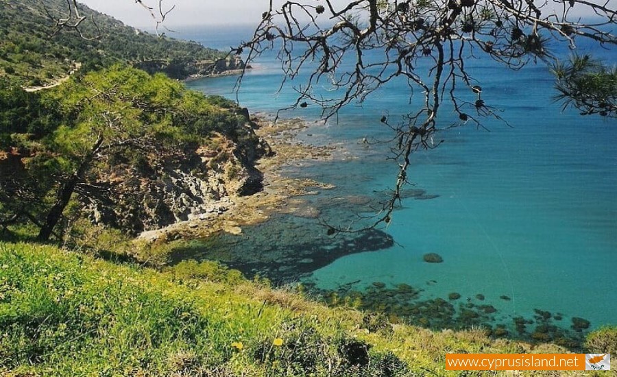 Beautiful view of Akamas coast