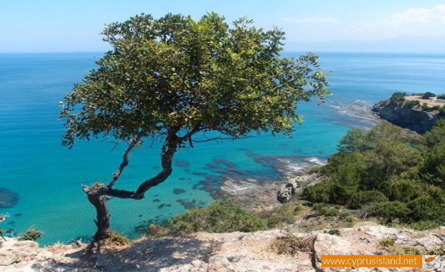 aphrodite nature trail