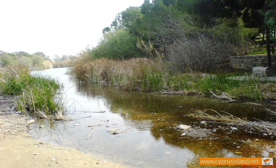 athalassa lake nicosia cyprus