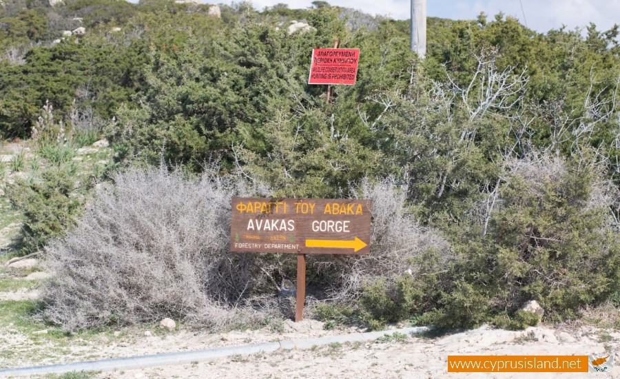 avakas gorge nature paphos