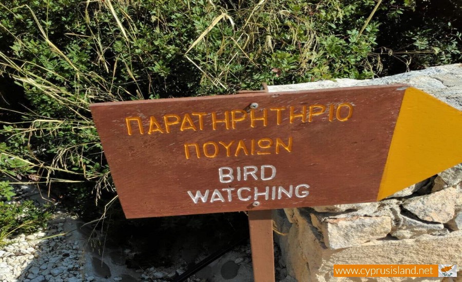 Baths of Aphrodite bird watching