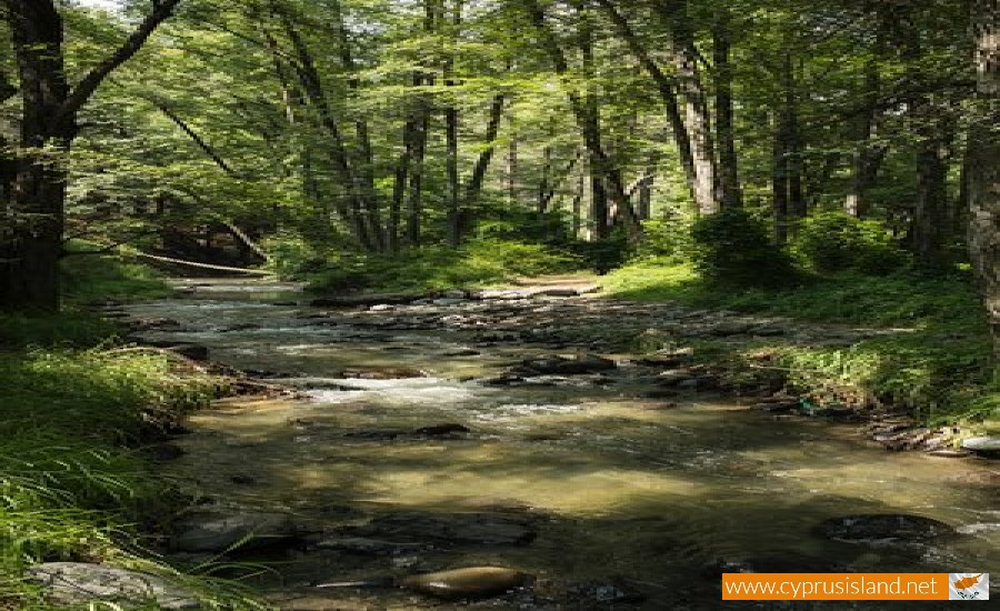 diarizos river cyprus