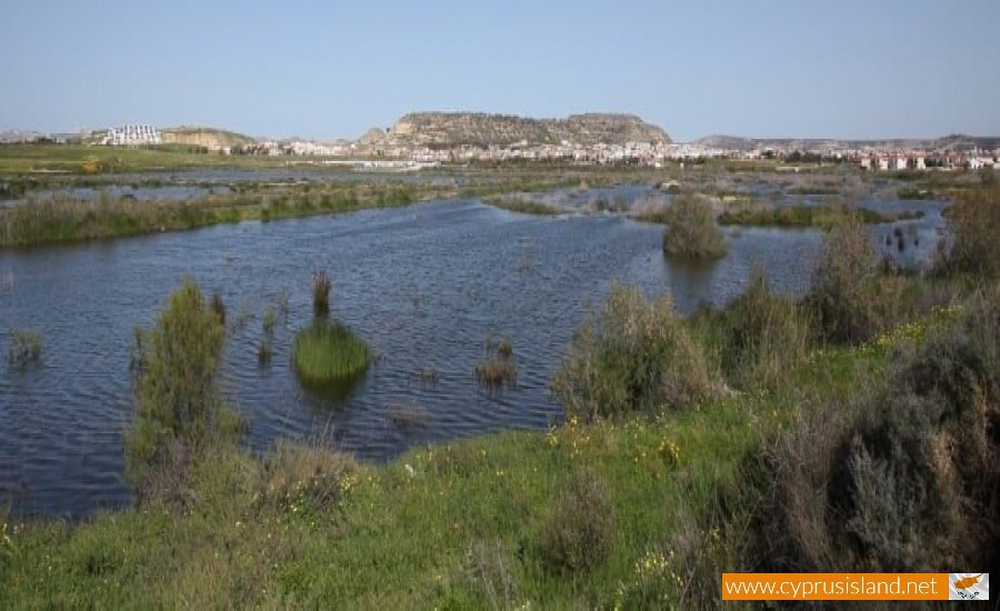 larnaca lake cyprus