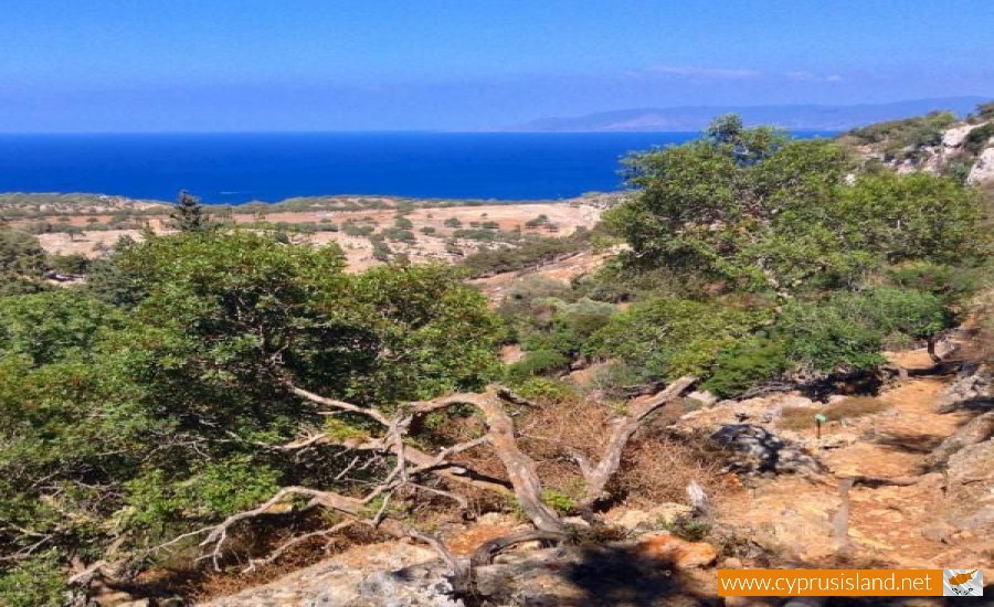 aphrodite nature trail