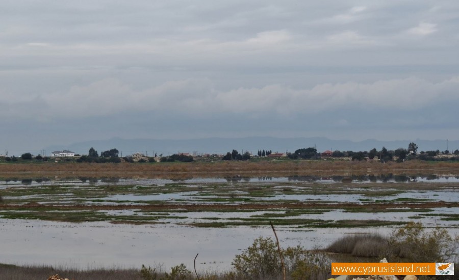 paralimni lake famagusta