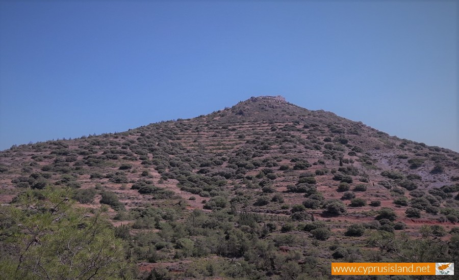 stavrovouni forest