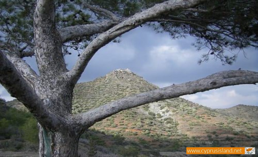 stavrovouni nature