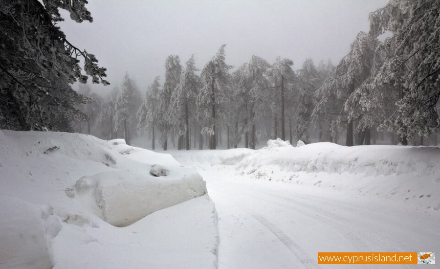 Snow in Troodos mountains