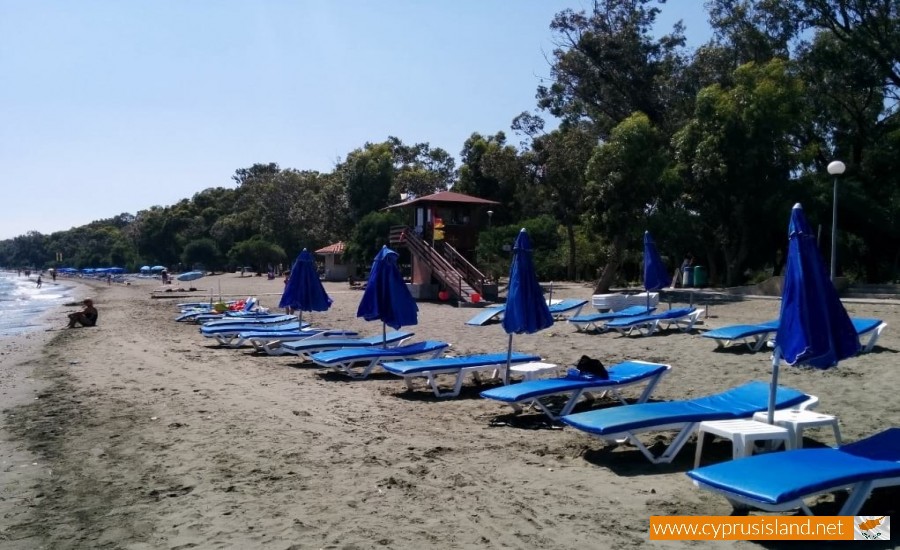 dasoudi beach limassol