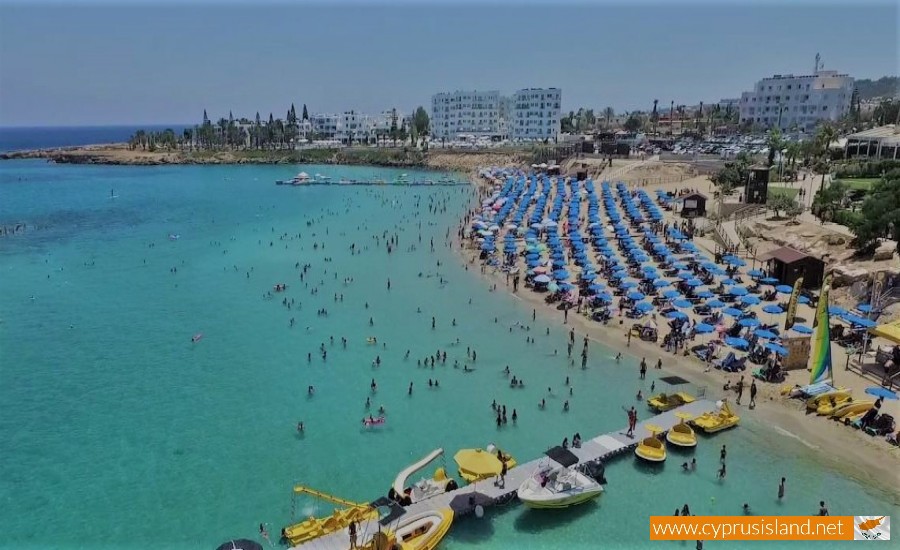 fig tree bay