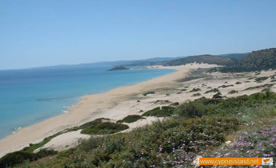 Pachyammos Village Beach | Cyprus Island