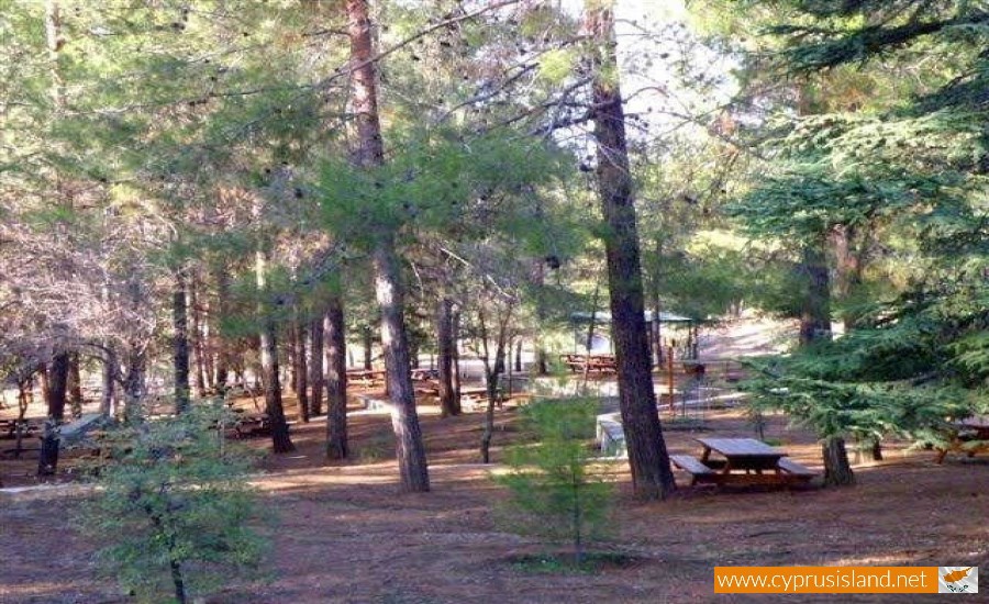 cyprus-forest-picnic