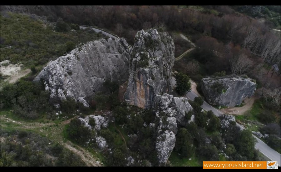 forest-cyprus