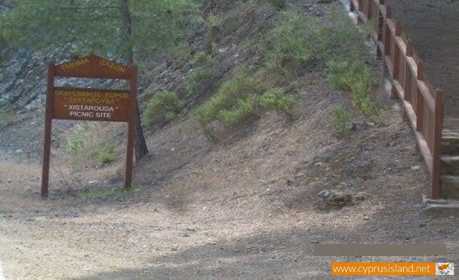 picnic-site-forest-cyprus