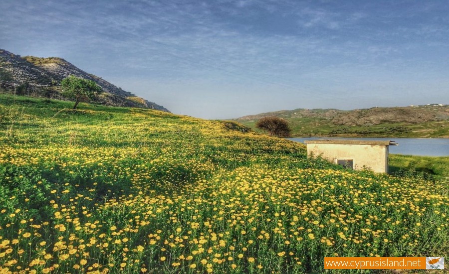 foinikas village cyprus