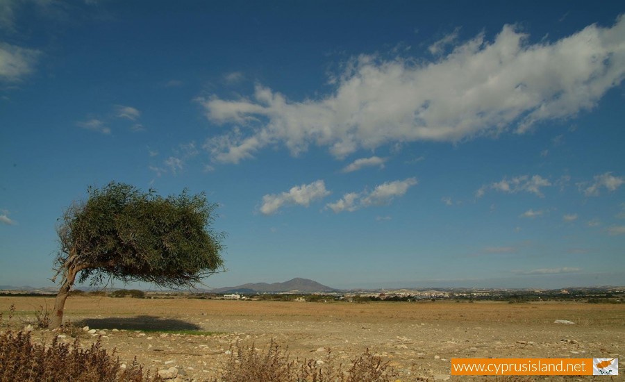 mazotos village cyprus