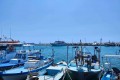 Agia Napa Harbour