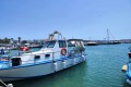 Agia Napa Harbour