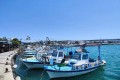 Agia Napa Harbour