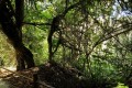 Baths of Aphrodite nature area